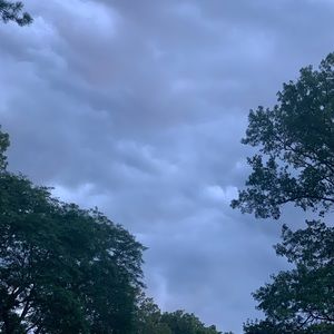 Meet your Posher, Beata